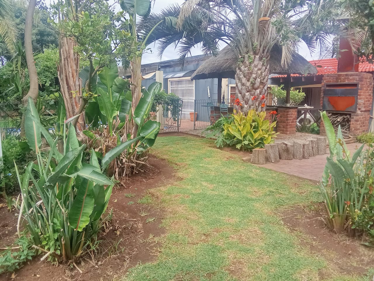Landscaped garden with thatched lapa and braai area